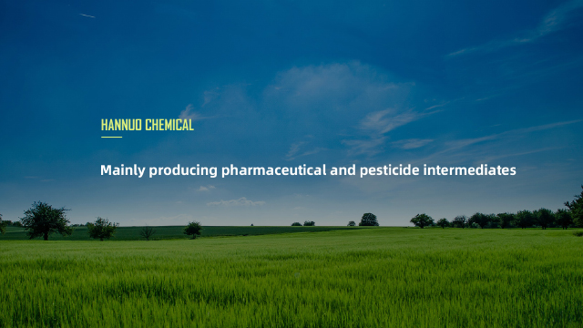 Jiangyin Hannuo Chemical Co., Ltd. 